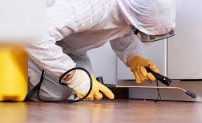 Professional Pest control in Phoenix, NY